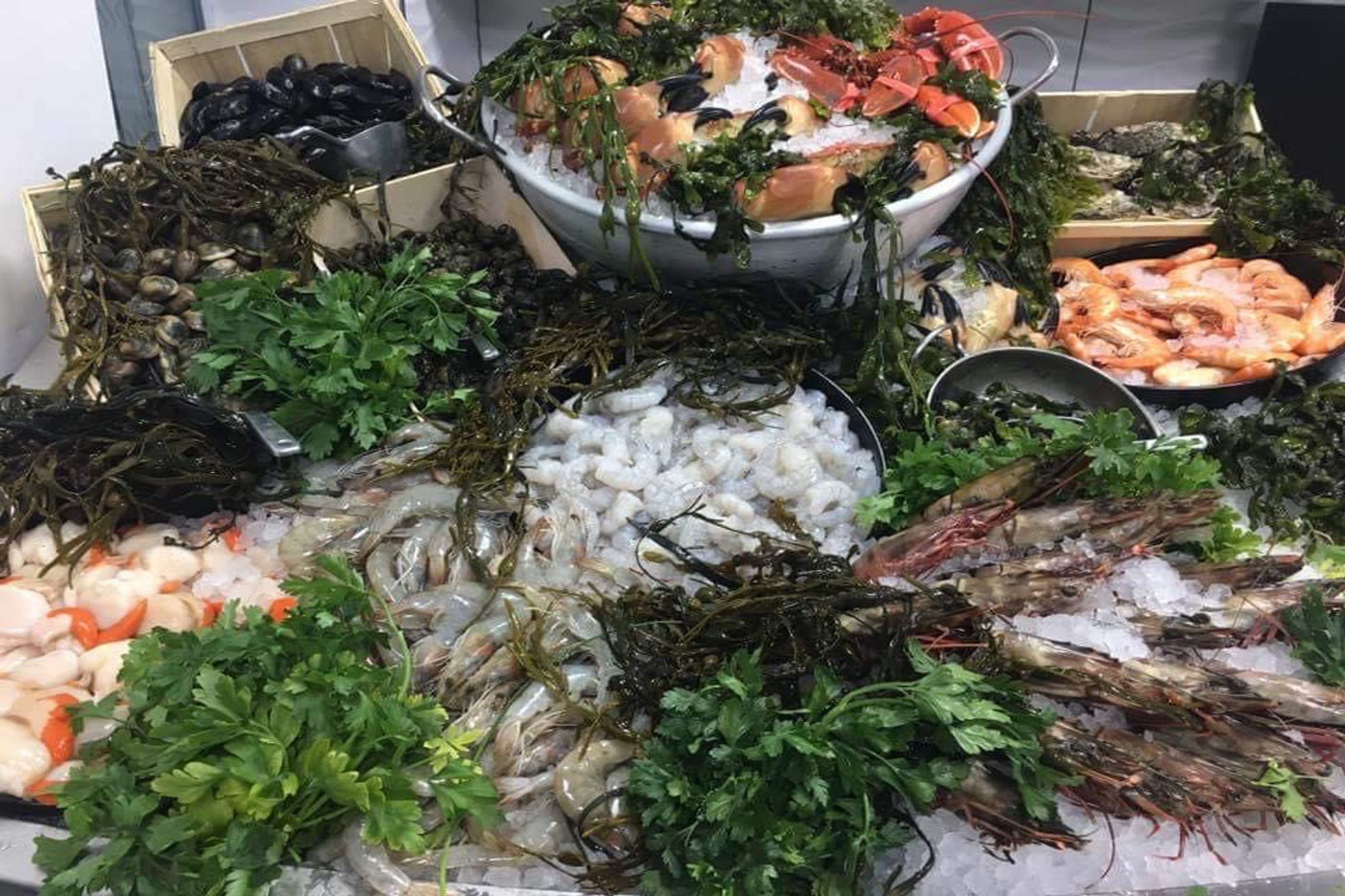 Shellfish