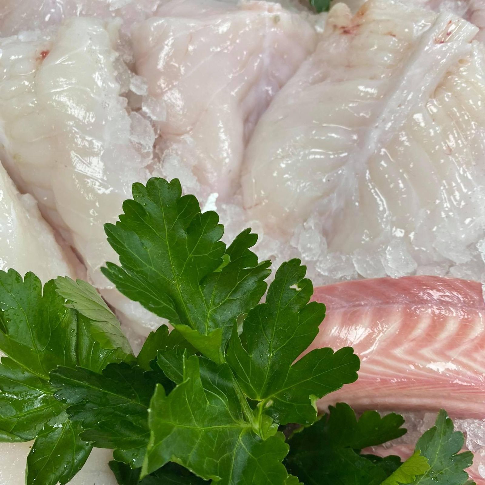 Cornish Monkfish