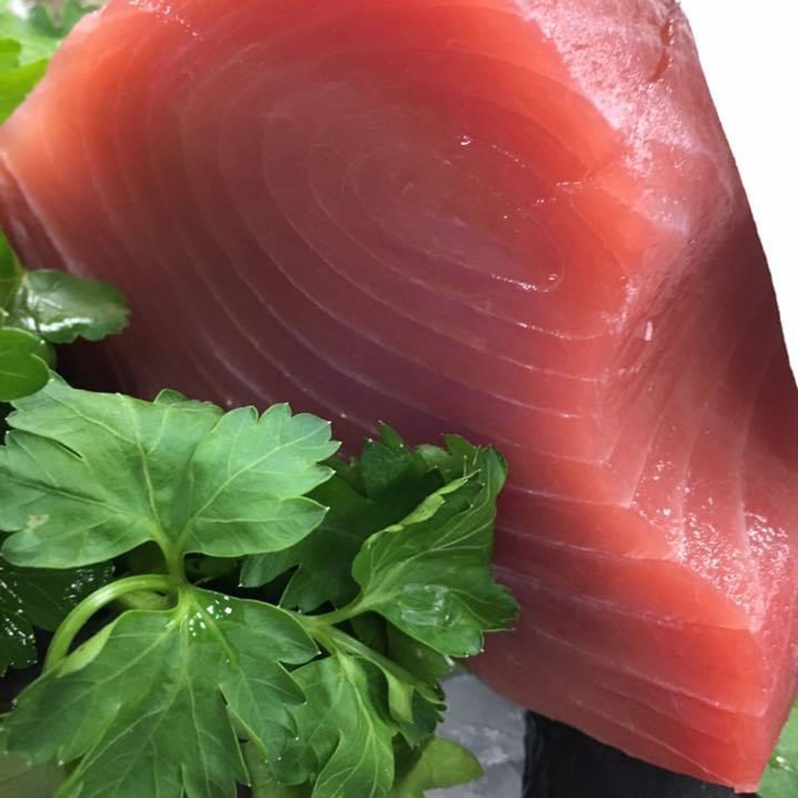 Sashimi Grade Tuna