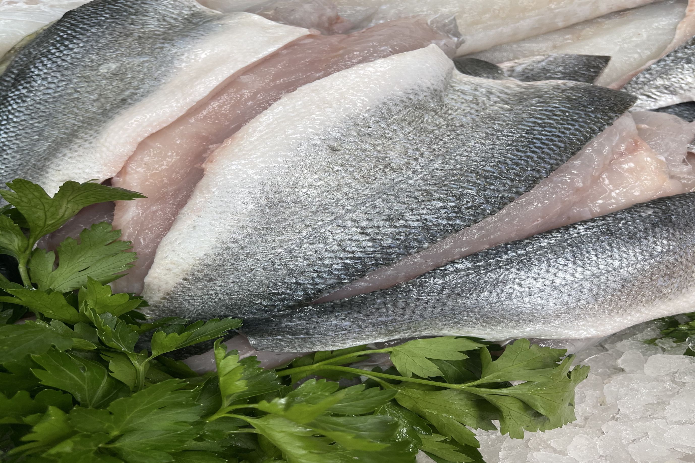 Bass fillets