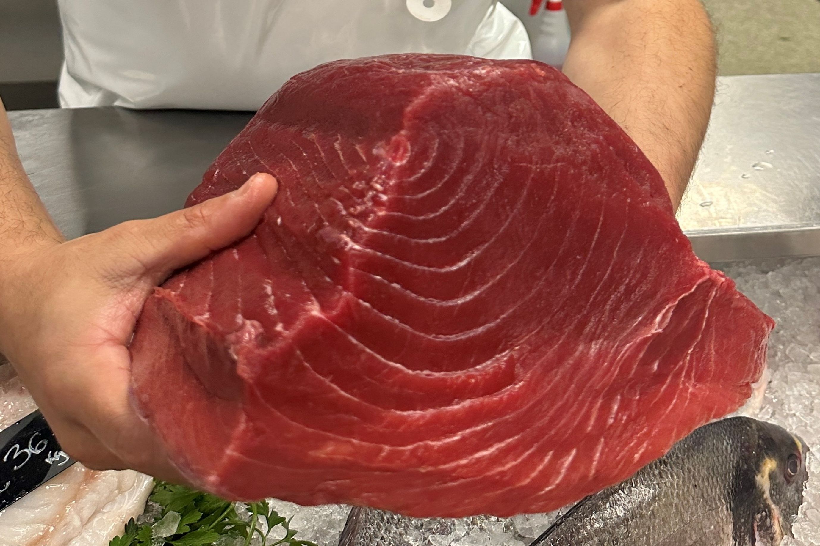 Bluefin