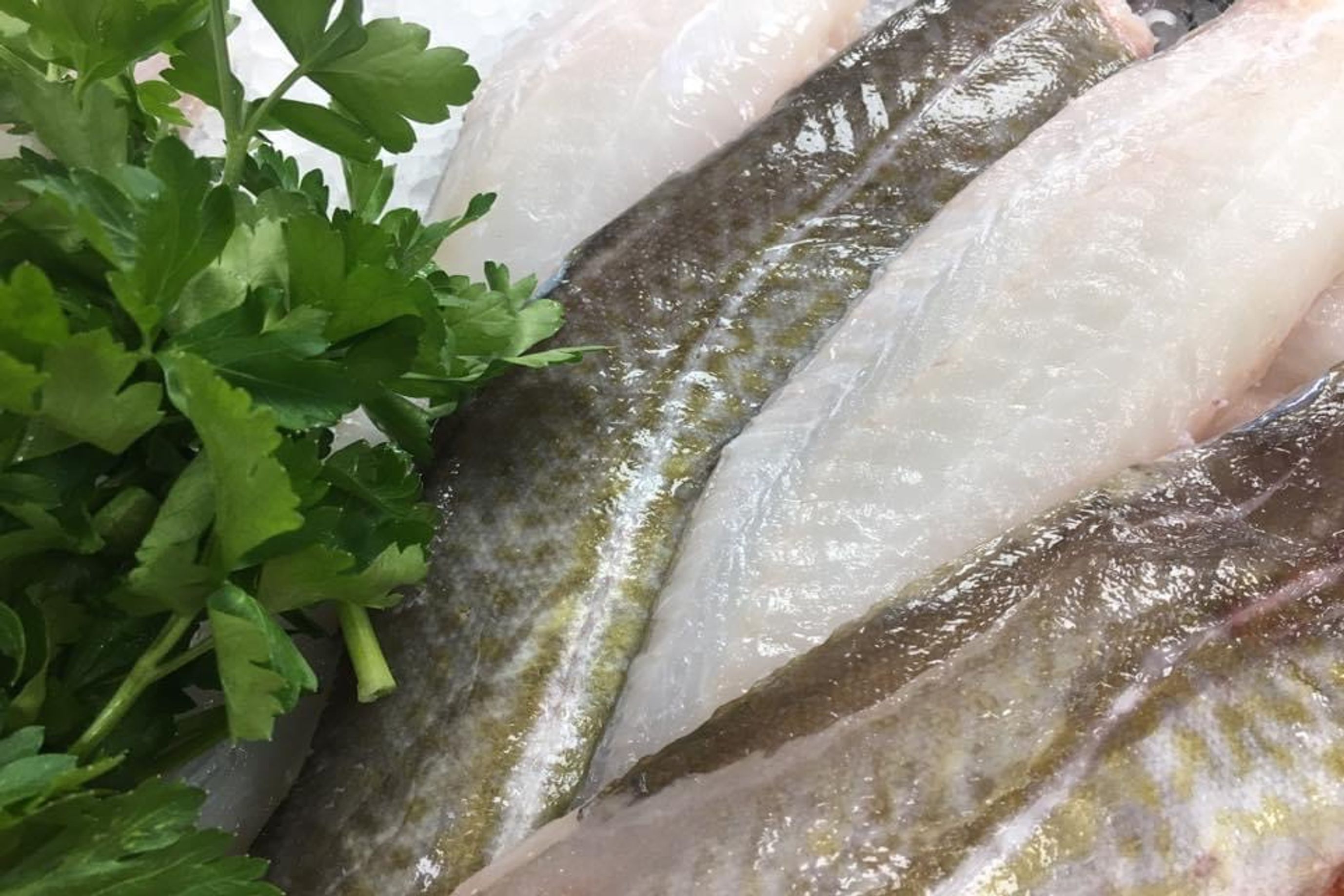 Cornish Cod Fillet