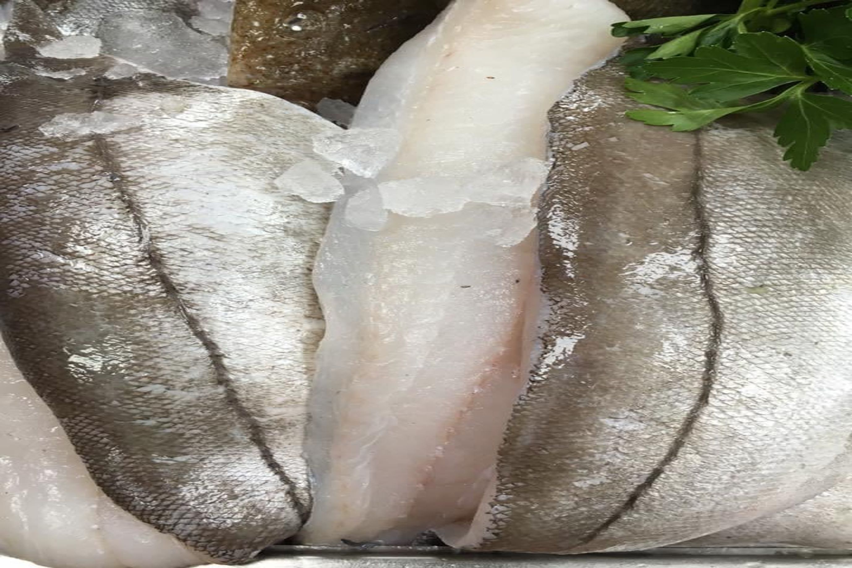 Cornish Haddock Fillet