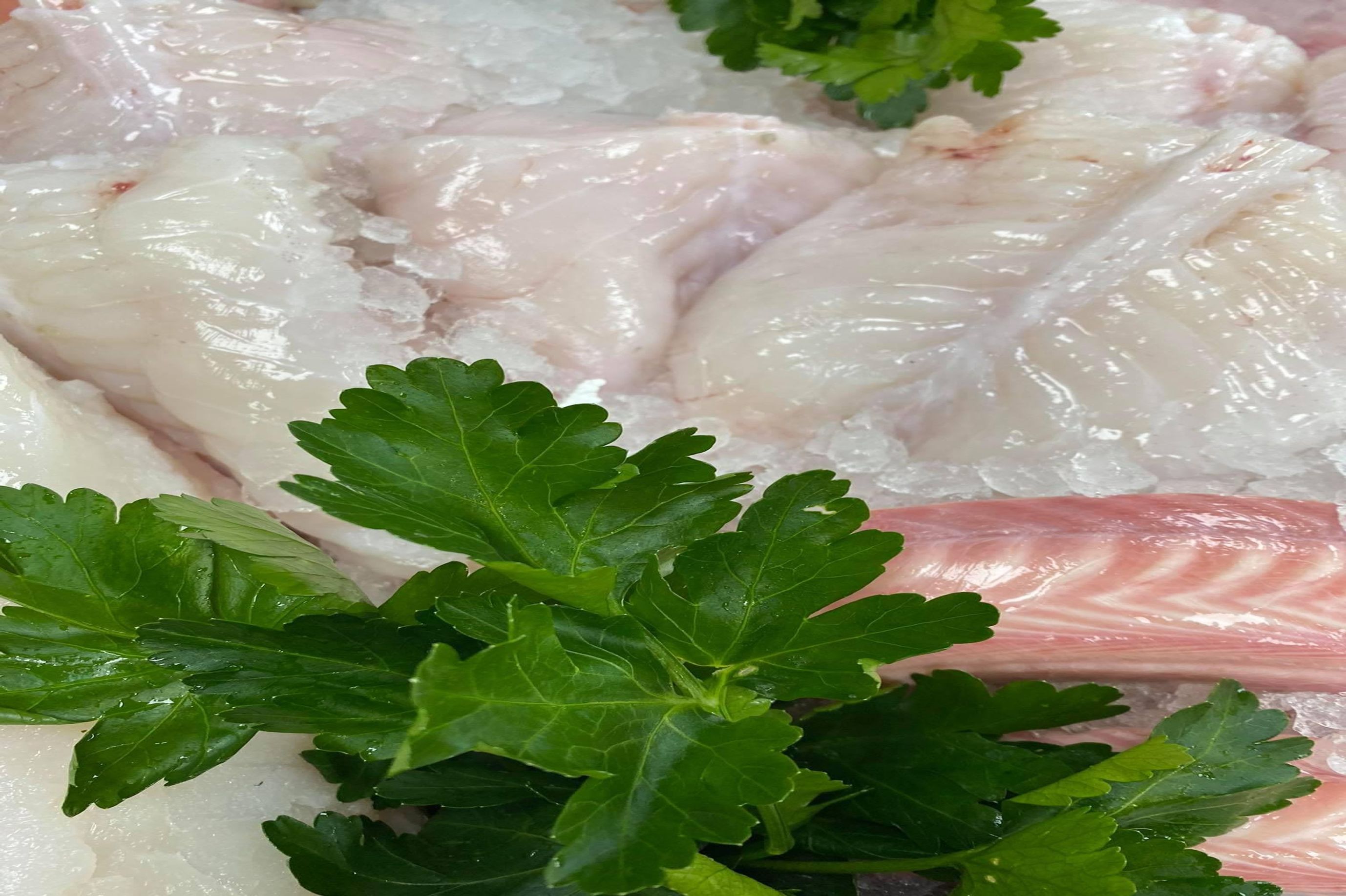 Cornish Monkfish