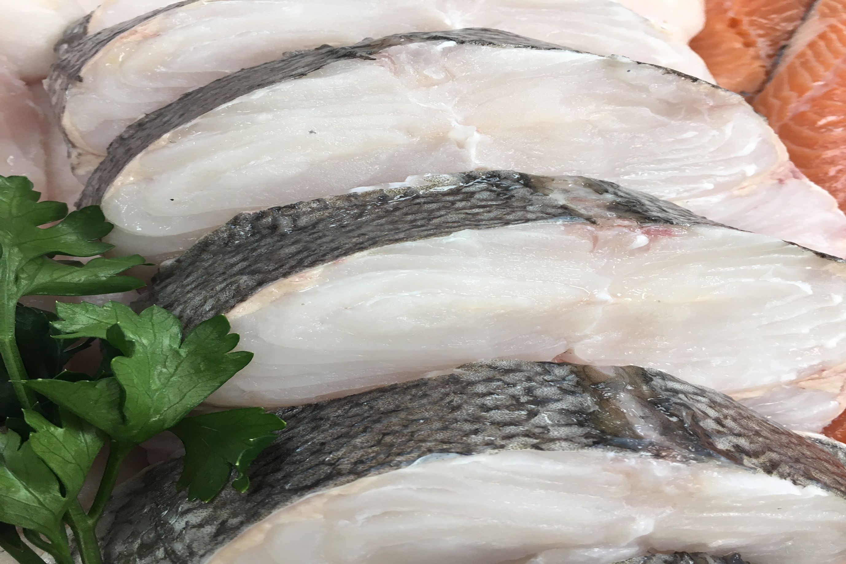 Hake Steak
