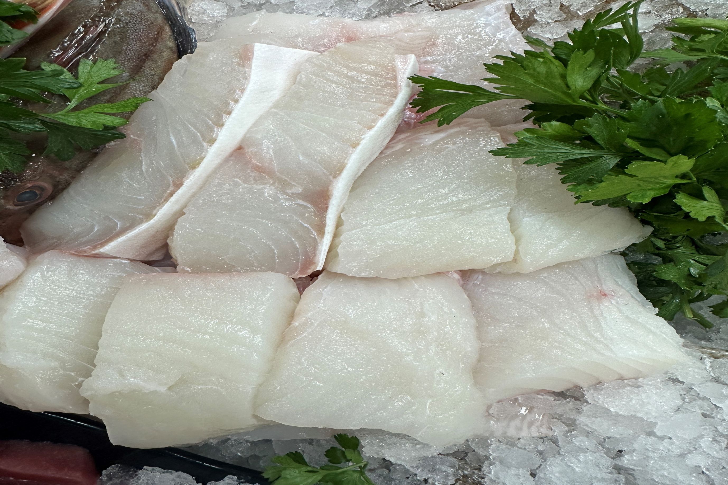 Halibut