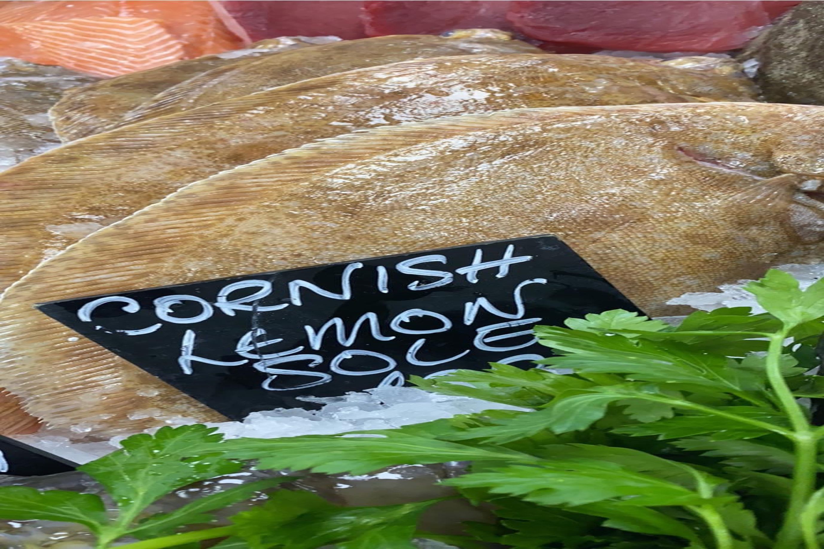 Lemon Sole