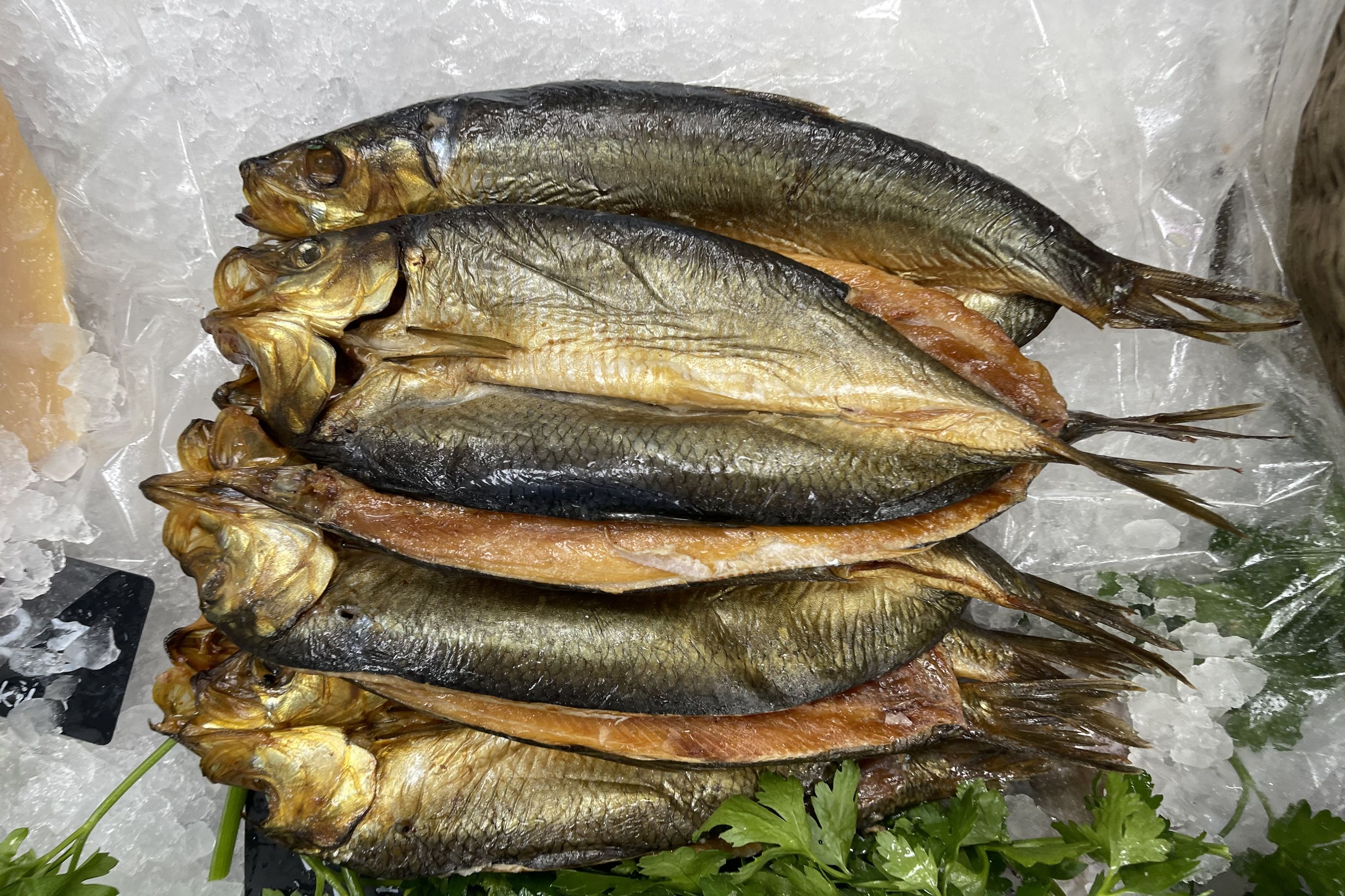 Manx Kuppers