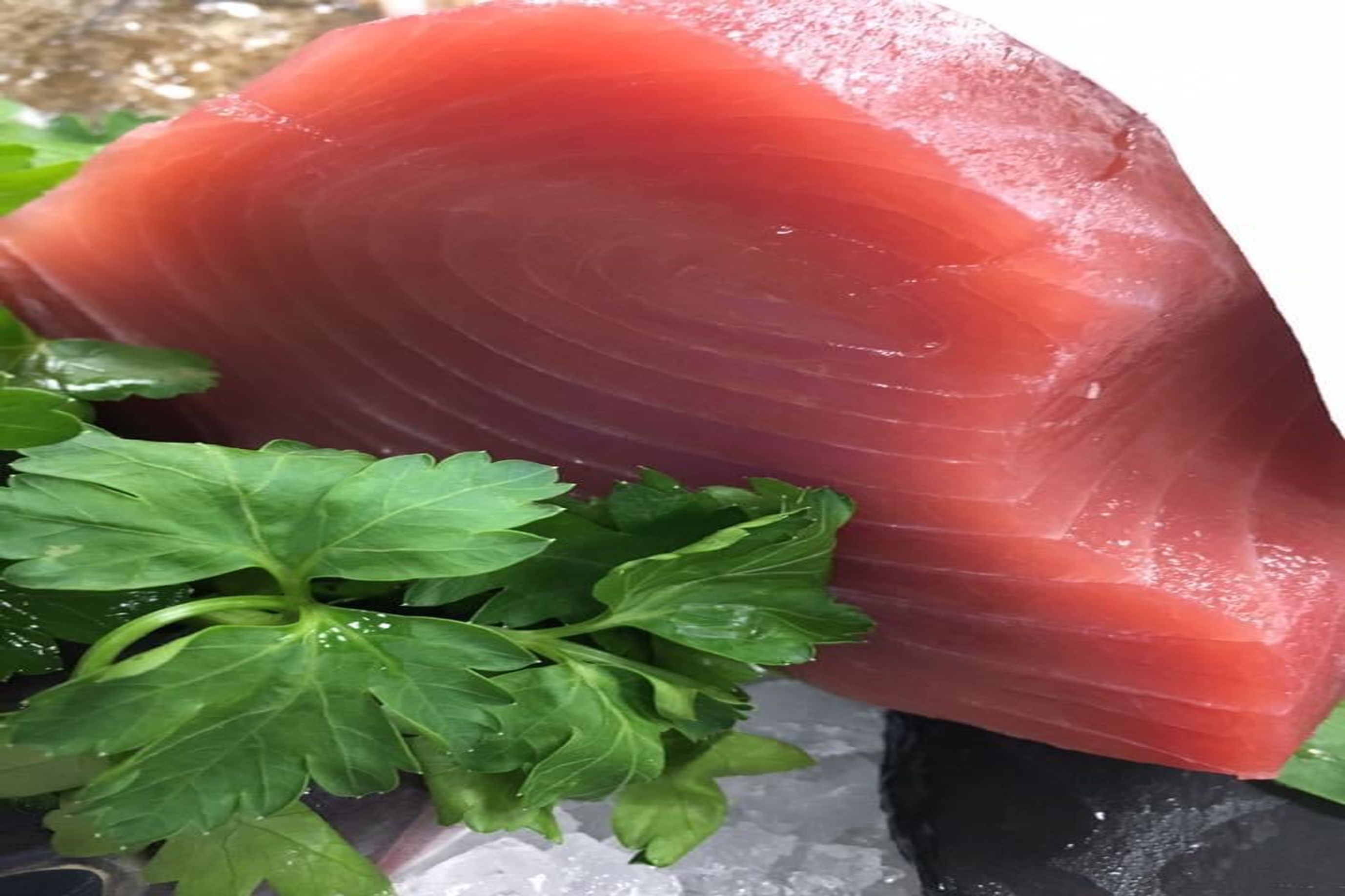 Sashimi Grade Tuna