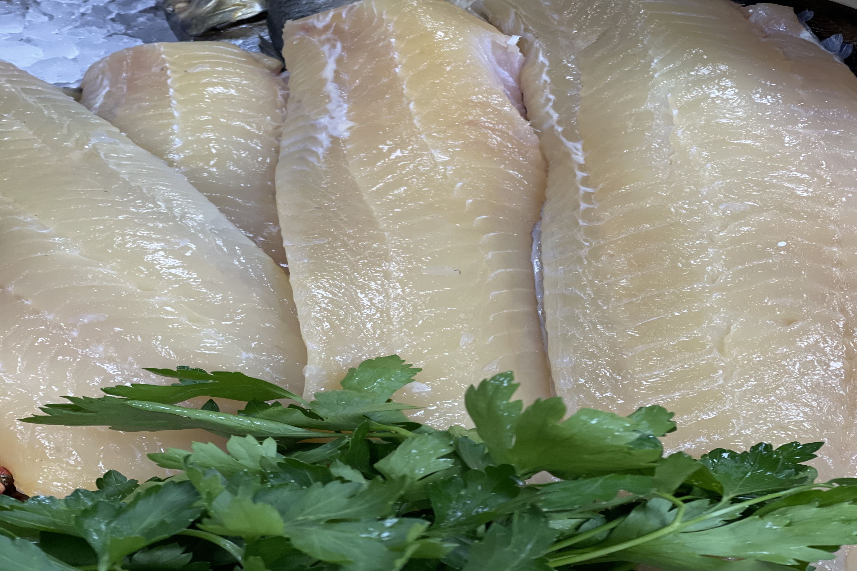 Smoked Haddock