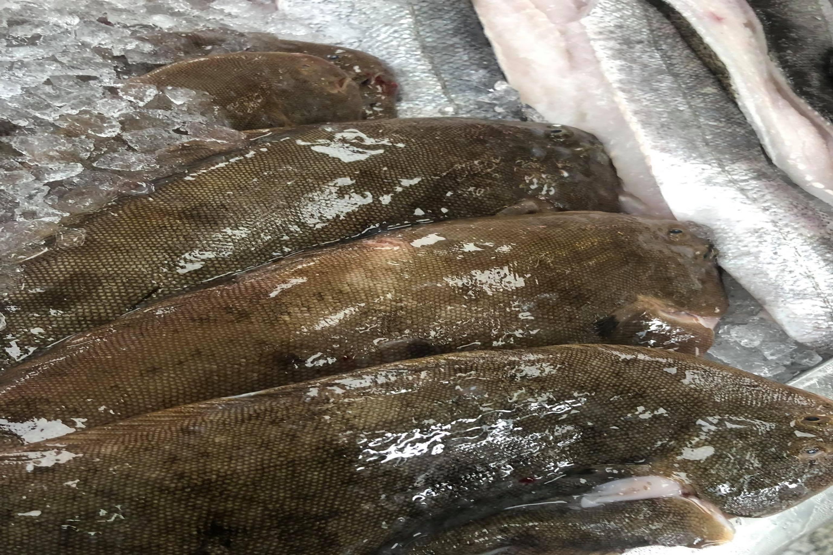 Whole Dover Sole