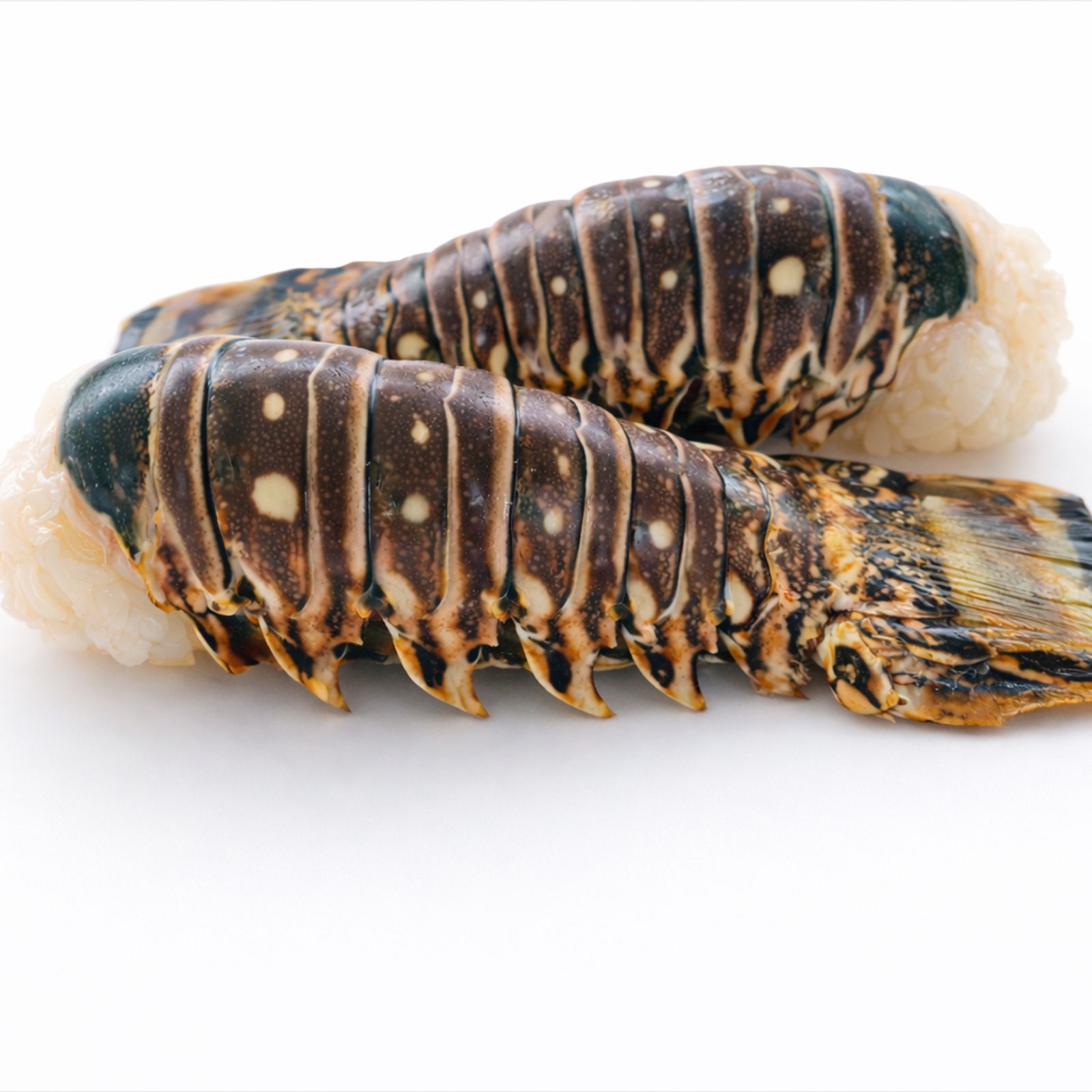Lobster Tails!