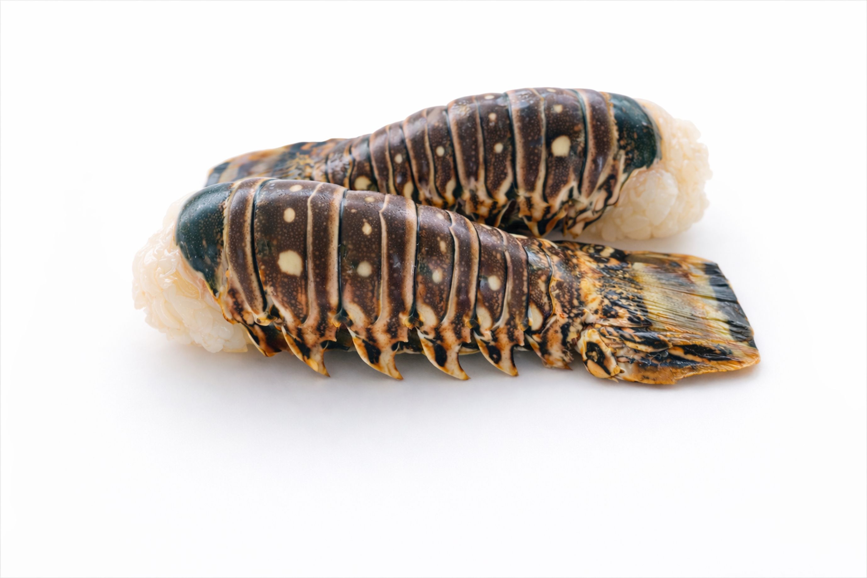 Lobster Tails!