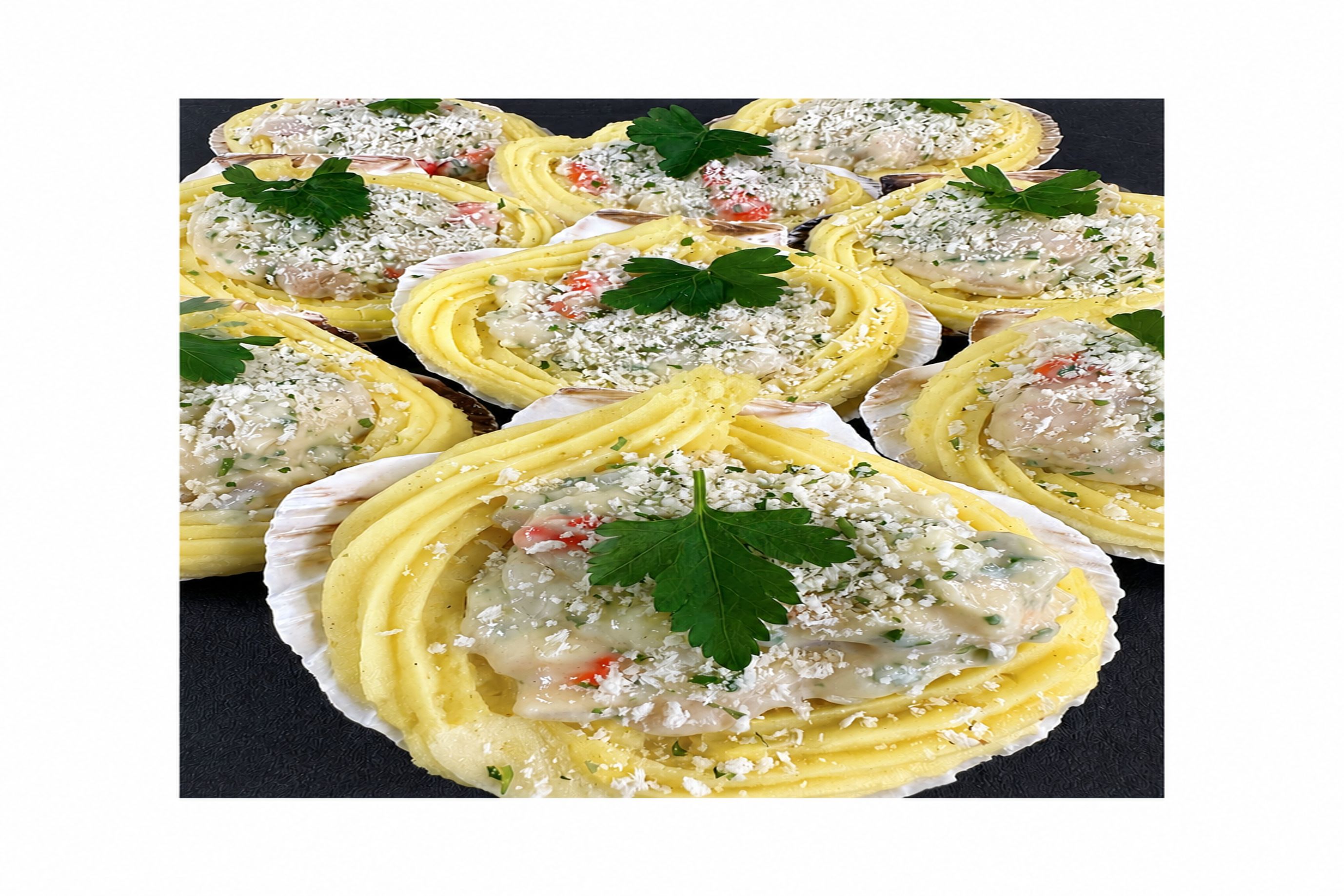 Coquille St Jacques