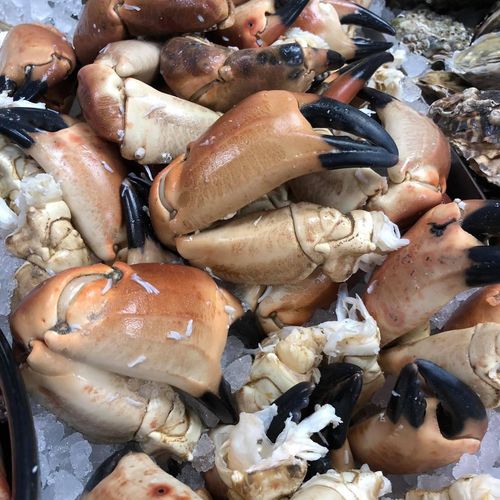 Crab Claws