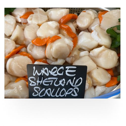 Christmas Scallops