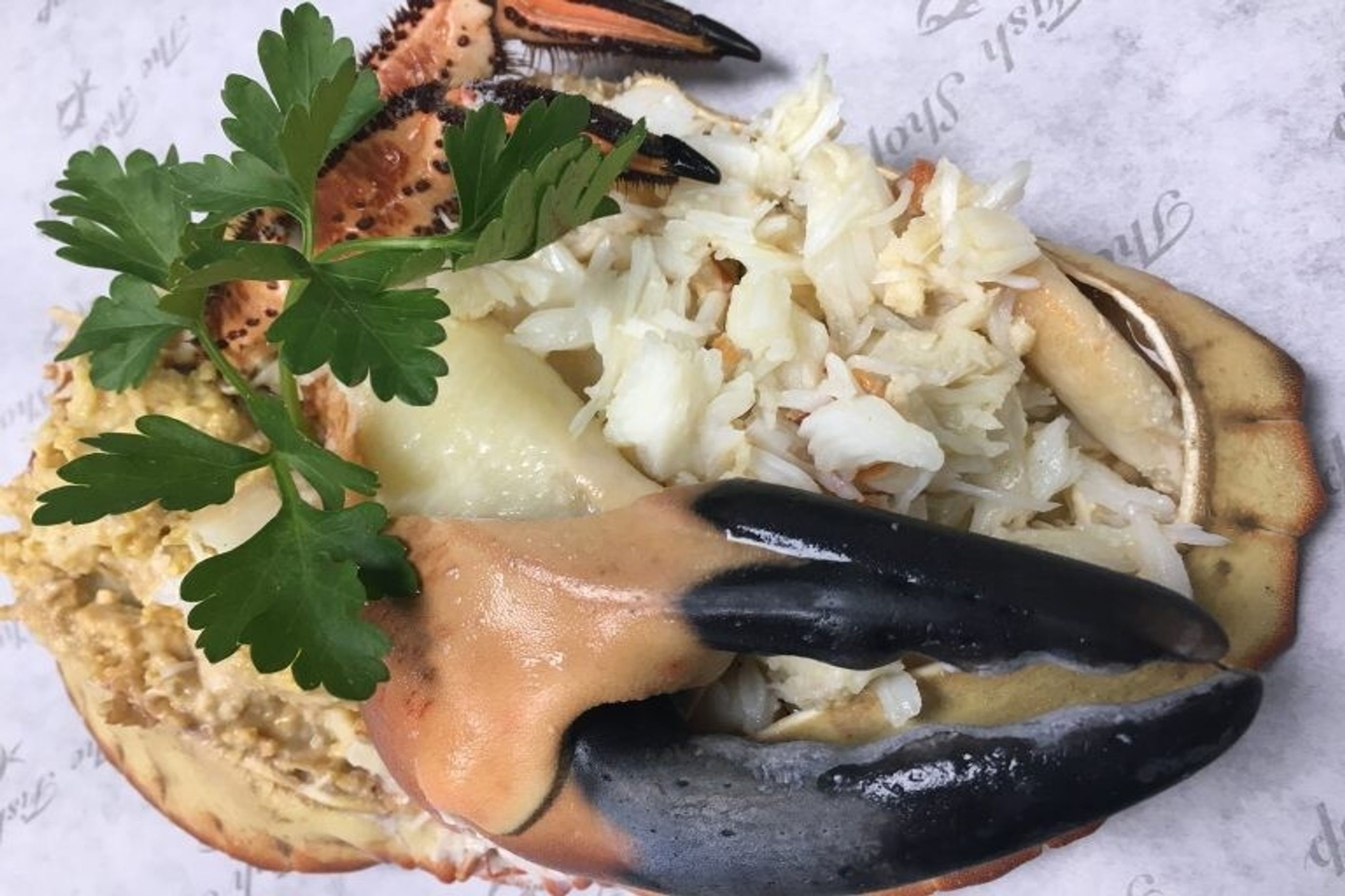 Brown crab