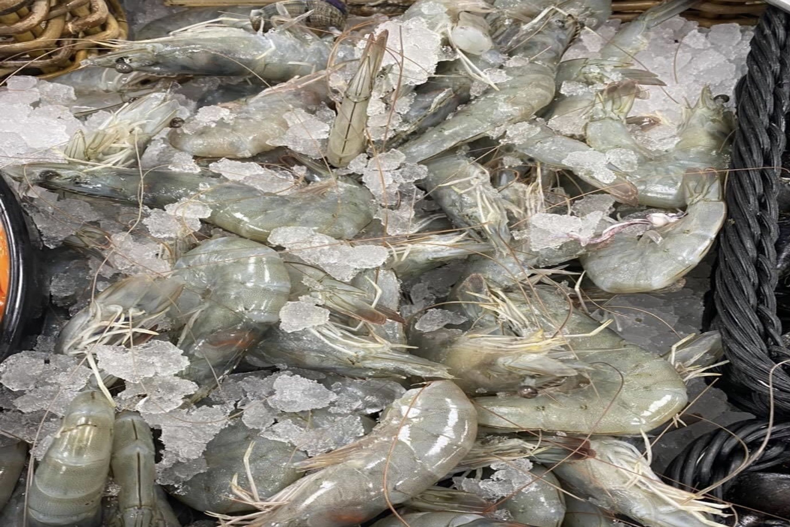Ecuador King Prawns