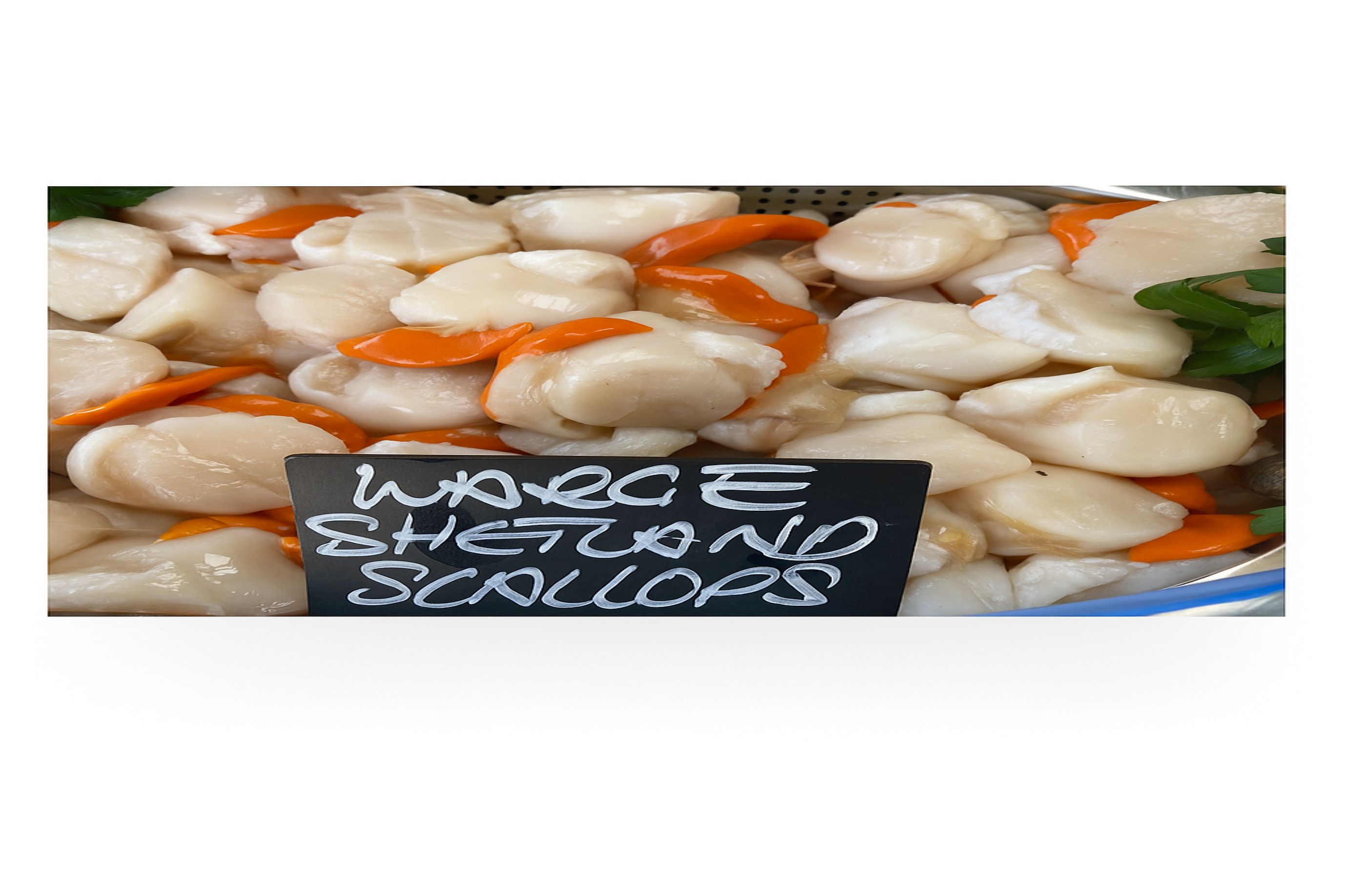 scallops