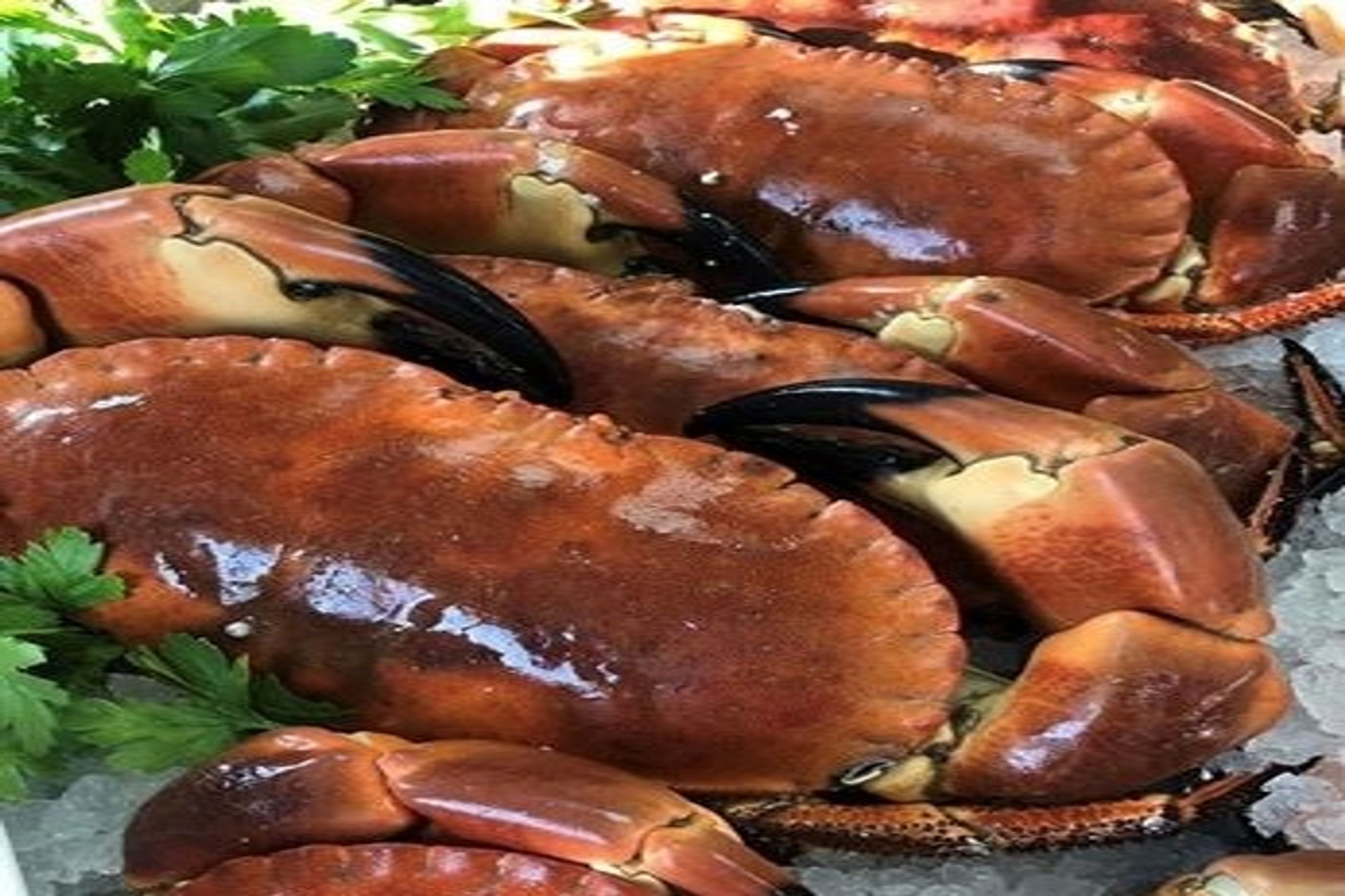 Whole crab