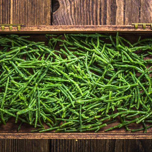 Samphire