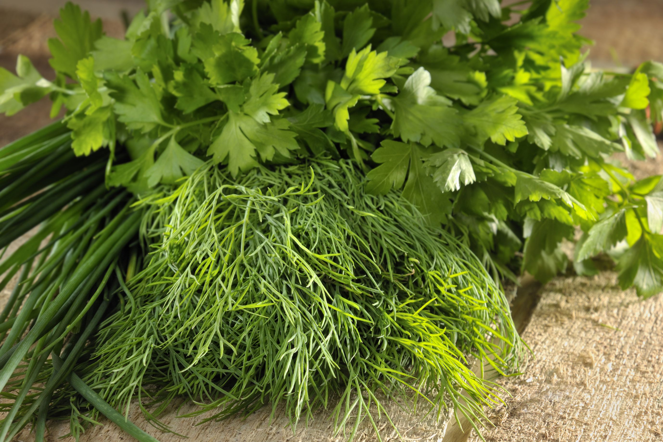 herbs