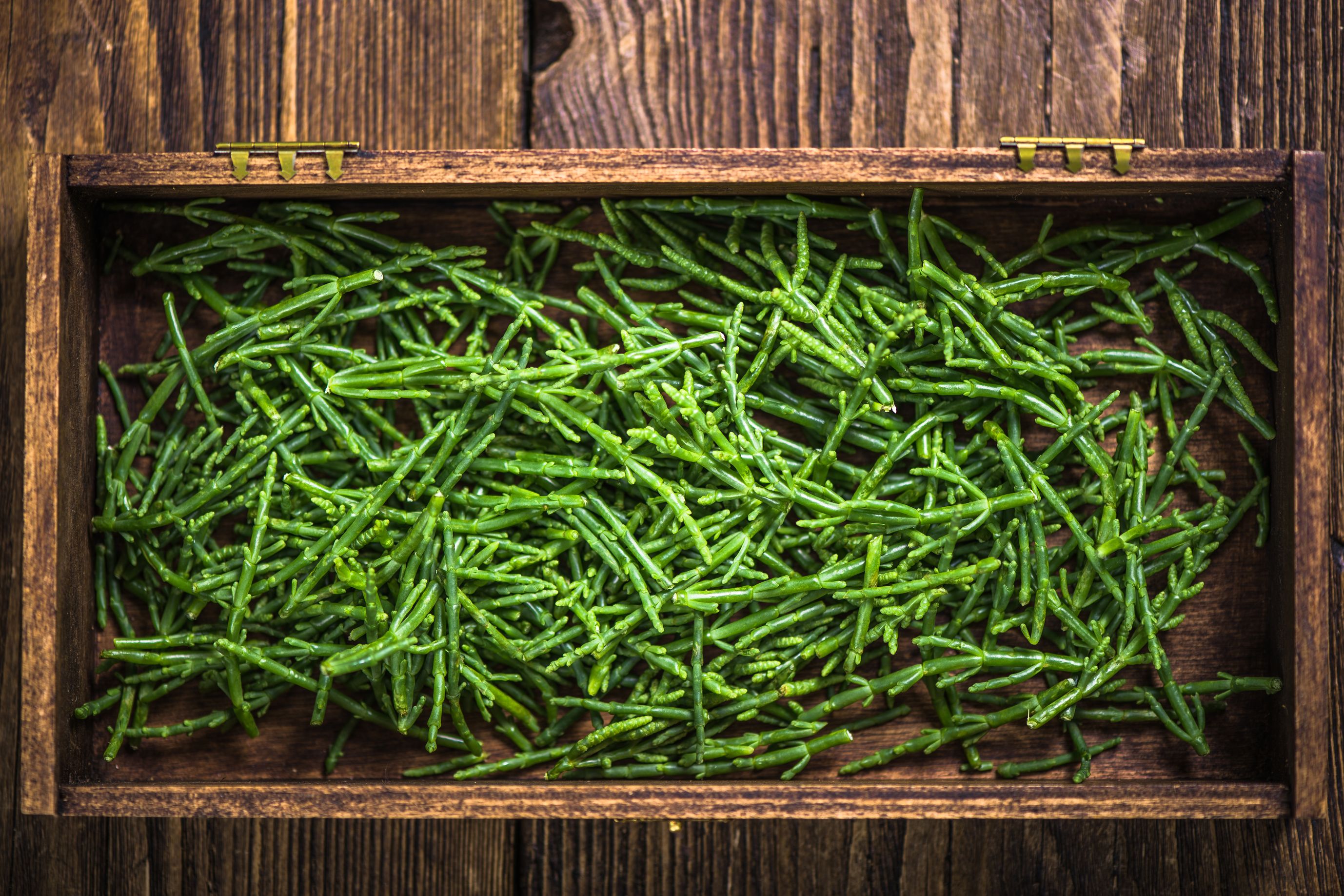 samphire