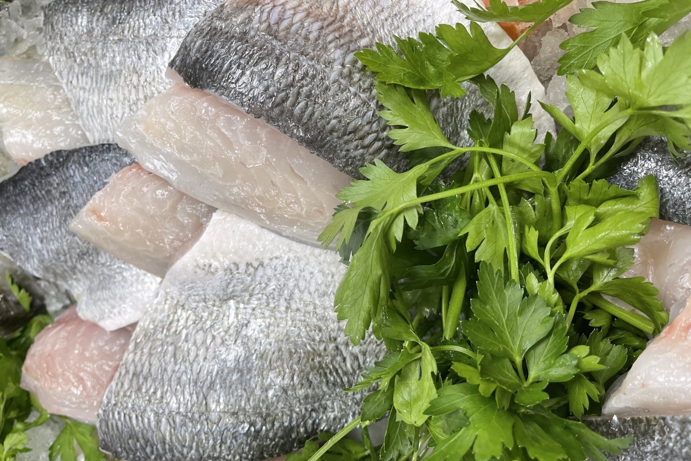 Farmed Bream fillets