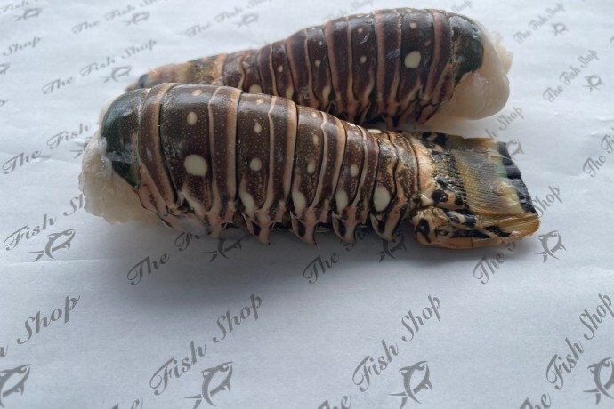 Frozen lobster tails