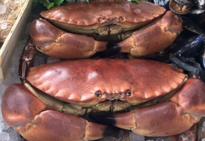 product crab