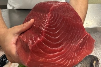 Cornish BlueFin Tuna