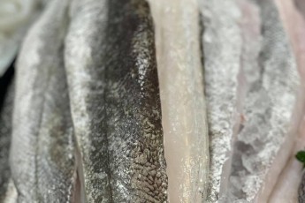Hake Fillets