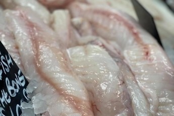 Monkfish Fillet