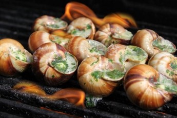 Snails in Garlic Butter