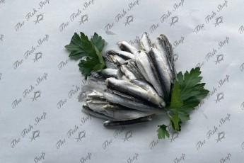 Anchovies in Oil