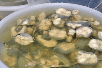 Barney's Jellied Eels