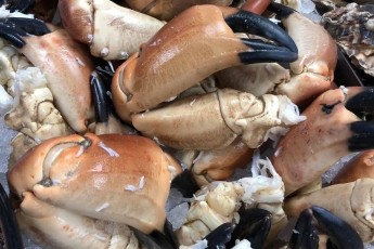 Crab Claws