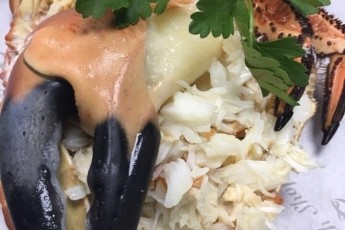 Dressed Crab