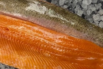 chalkstream-trout-fillets