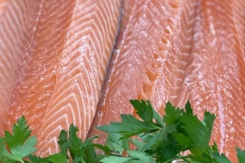 WesterRoss Salmon Fillets