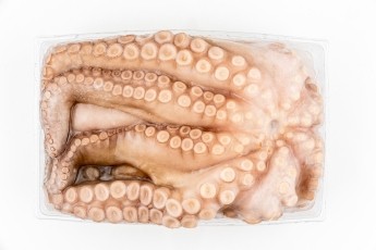 Large Frozen Octopus