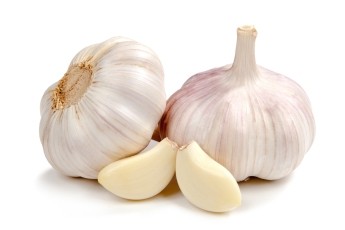 Large Garlic