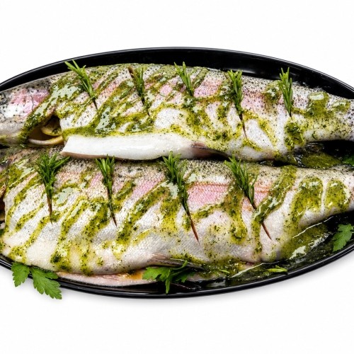 Super Garlicky XL Chalkstream Trout