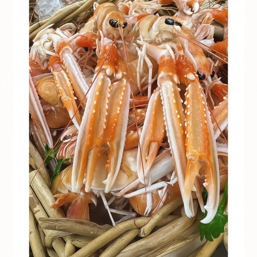 Langoustines